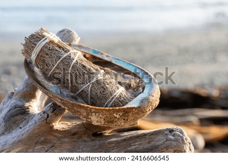 A mystical image of a white sage smudge stick in an abalone shell with the rocky coast line in the background. 