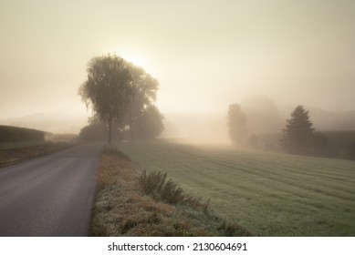 Mystische Landschaft in Bayern im Herbst. Die Sonne erhebt sich langsam hinter Bäumen über eine nebelbedeckte Landschaft.