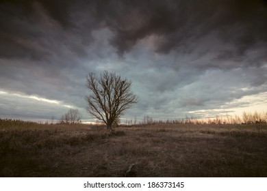 Mystical Landscape With Dramatic Moody Stormy Sky