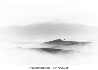 Mystical landscape of Italian Tuscany with lonely trees in the middle of rolling fields in thick fog in black and white - Powered by Shutterstock