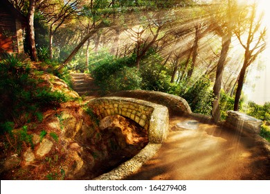 Mystical Park. Old Trees and Ancient Stone Bridge. Pathway. Misty Forest. Fantasy Landscape