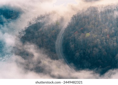 A mystical scene unfolds as sunlight filters through a thick blanket of fog in a peaceful forest. The path winds through the trees, inviting exploration and a sense of wonder. Perfect for conveying tr