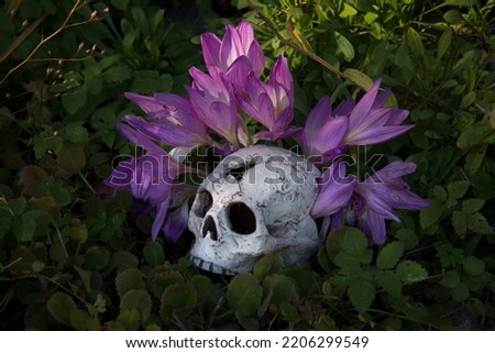 Mystical skull in purple flowers