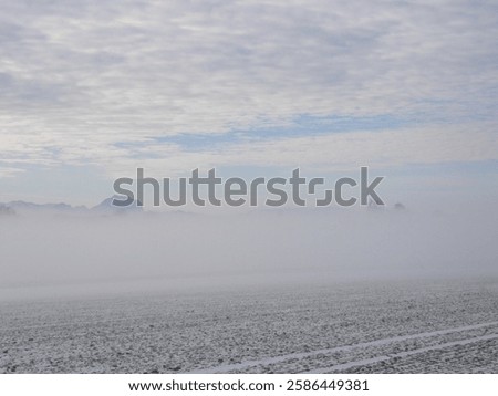 Similar – Image, Stock Photo Mystical sunrise in misty oak forest