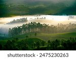 Mystical view of Munnar, Kerala