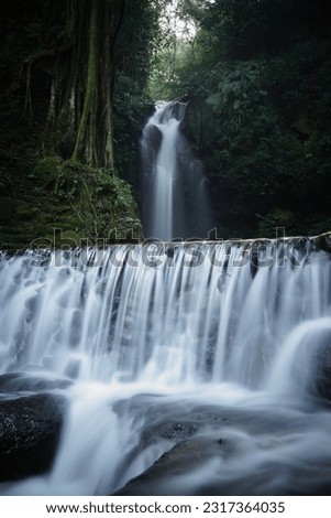 Mystical Waterfall Inside The Forest
