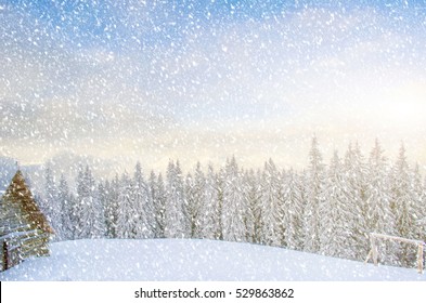 Mystical winter landscape of trees in sunlight during a blizzard (New Year, travel, Harmony - concept) - Shutterstock ID 529863862