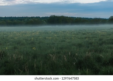 Mysty, Foggy Field And Road. Summer White Night