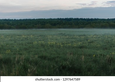 Mysty, Foggy Field And Road. Summer White Night