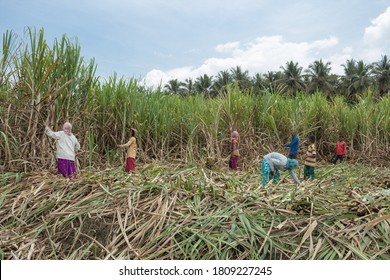 Karnataka countryside Images, Stock Photos & Vectors | Shutterstock