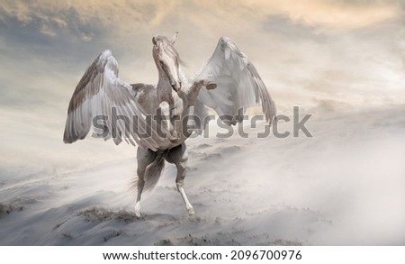 The mythical pegasus horse with spread wings against the background of a snow-covered field. 