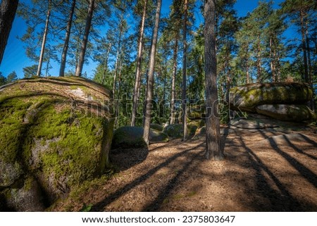 mythical stone giants and viklas and granit rockformation in Blockheide, natural reserve near Gmünd, Austria