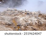 Myvatn Iceland, view across colourful landscape with steam vents at Namafjall or Hverir geothermal area 