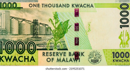 Mzuzu Maize Silos Representing The Theme Of Sustainable Economic Growth. Portrait From Malawi 1000 Kwacha 2012 Banknotes.