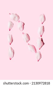 N Word With Petals On Pink Background