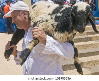 Sheep Slaughter Stock Images, Royalty-Free Images 