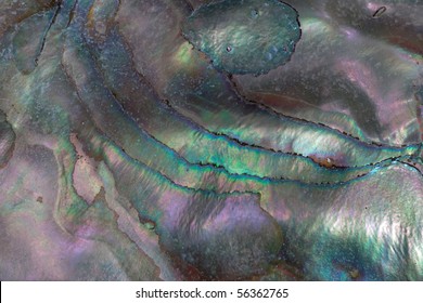 Nacre Of Inner Side Of Abalone Shell Closeup, Background Texture