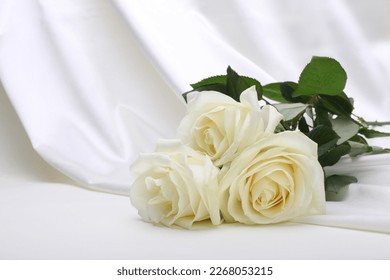 Nacre wave fabric silk with white rose flower bouquet. Abstract texture horizontal copy space background. - Powered by Shutterstock