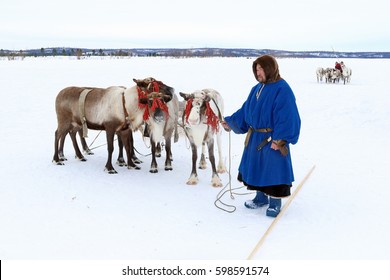 NADYM, RUSSIA - MARCH 05, 2017: The man the Nenets with a cervine team during the holiday "Day of the reindeer breeder". Nenets - aboriginals of the Russian North