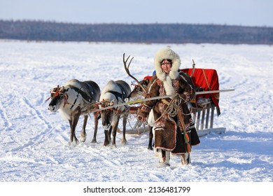 Nadym, RUSSLAND-MÄRZ 13, 2022: Ein Hirtenmädchen von Nenets führt während des traditionellen Rentierfest-Feiertags einen Rentierer über die Tundra