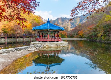 1,053,468 Korea Images, Stock Photos & Vectors | Shutterstock