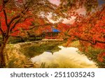 Naejangsan National park During the autumn leaves change color in South Korea.