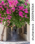 Nafplion city, Greece, old town. Bougainvillea blooming plant red fuchsia color flowers, at the entrance of a narrow cobblestone alley street, summer sunny day