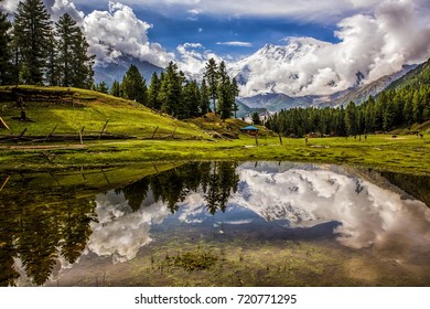 Naga Par bat in reflection lake/reflection