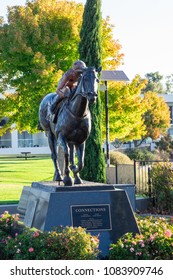 Nagambie, Australia - March 12, 2018: Bronze Statue Of The Racehorse Black Caviar On The Banks Of Lake Nagambie. The Statue By Mitch Mitchell Was Erected In 2013.