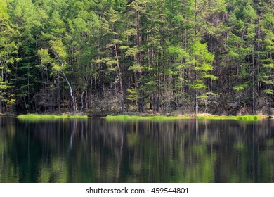 Nagano, pond - Shutterstock ID 459544801