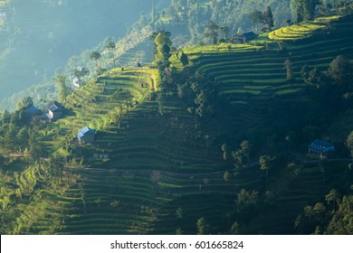 Nagarkot