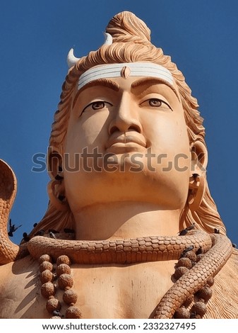 Nageshwar shiv Mahadev Kailashpati hindugod 