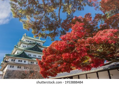 Nagoya Castle With Autumn Foilage