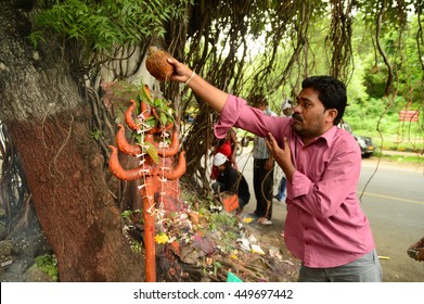 NAGPUR, MAHARASHTRA, INDIA - AUGUST 01 : People worship of Snake God in "Nag Panchami" festival. It is traditional worship of snakes or serpents observed by Hindus in Nagpur, India on 01 August 2014