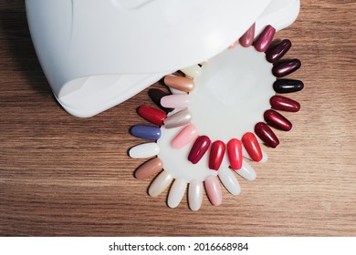 Nail Acrylic Lacquer Manicure Swatches. Gel Nail Samples Palette.