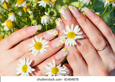 Nail Art Design. Woman Hands With Camomile Flowers