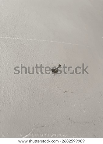 Nail embedded in the wall causing chipped damage.