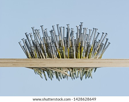 Nail it, obsession, rage, and compulsion. Many nails driven through wood board on blue background