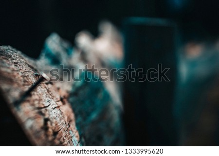 Similar – Image, Stock Photo closeup of trunk stumps of a phytolacca dioica in nature with abstract forms