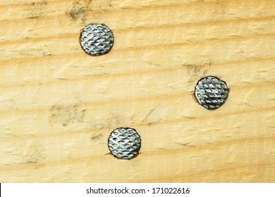 nail in wood