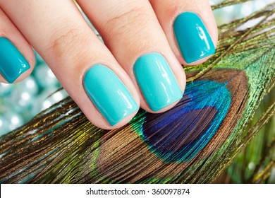 Nails with manicure covered with nail polish and peacock feather