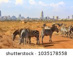 in Nairobi national park