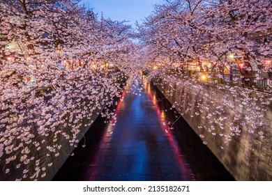 1,171 Nakameguro cherry blossoms Images, Stock Photos & Vectors ...