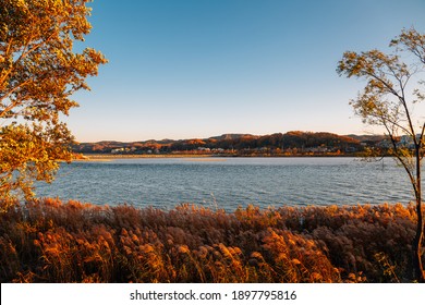 Nakdong river and reed field at autumn in Andong, Korea - Powered by Shutterstock