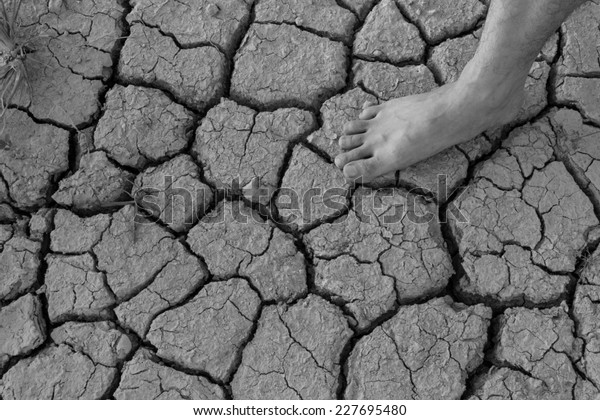 Naked Human Barefeet On Dry Soil Stock Photo Shutterstock