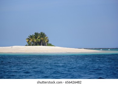 Naked Island Clump Coconut Trees Philippines Stock Photo Shutterstock