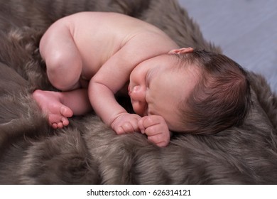 Beb Rec M Nascido E Cachorrinho Dachshund Dormindo Foto Stock Editar Agora