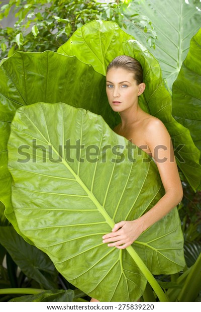 Naked Woman Emerging Giant Leaves Stock Photo Shutterstock