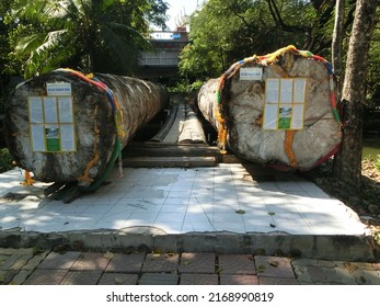 NAKHON PATHOM, THAILAND - JANUARY 3, 2022: Exterior Building Wooden Bridge With Holy Log Trunk For Thai And Traveler Visit To Respect Praying Of Wat Samphran Temple - The Dragon Temple, At Sam Phran. 