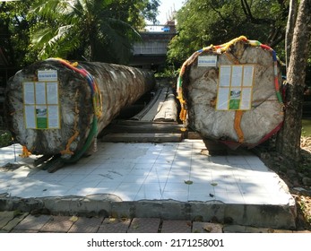 NAKHON PATHOM, THAILAND - JANUARY 3, 2022: Exterior Building Wooden Bridge With Holy Log Trunk For Thai And Traveler Visit To Respect Praying Of Wat Samphran Temple - The Dragon Temple, At Sam Phran. 